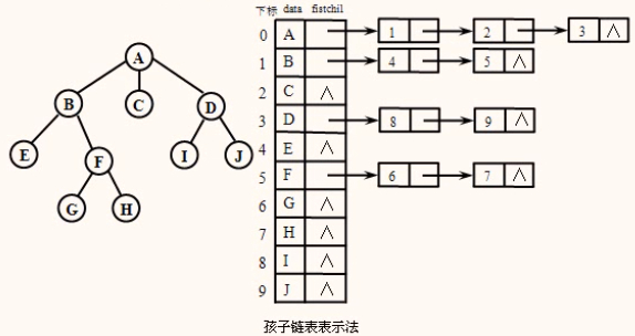 孩子链表表示法.png