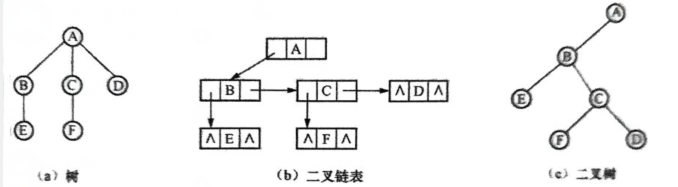 树与二叉树关系.png